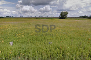 Działka na sprzedaż 8100m2 wrocławski Czernica Dobrzykowice - zdjęcie 4