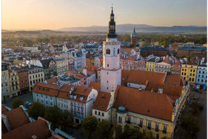 Komercyjne na sprzedaż 632m2 świdnicki Świdnica Wałbrzyska - zdjęcie 2