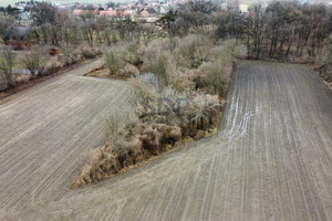 Działka na sprzedaż 19468m2 oleśnicki Dobroszyce Dobrzeń - zdjęcie 2