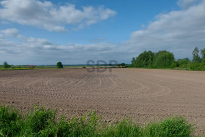 Działka na sprzedaż 5900m2 średzki Miękinia Wilkszyn - zdjęcie 1