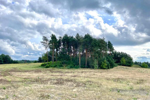 Działka na sprzedaż 16850m2 ostrzeszowski Kobyla Góra - zdjęcie 2