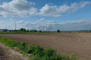 Działka na sprzedaż 5900m2 średzki Miękinia Wilkszyn - zdjęcie 2