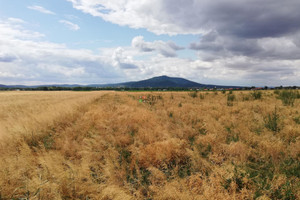 Działka na sprzedaż 77000m2 wrocławski Sobótka Michałowice - zdjęcie 2