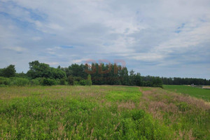 Działka na sprzedaż 1454m2 średzki Miękinia Wrocławska - zdjęcie 2