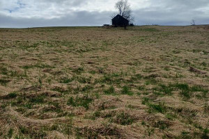 Działka na sprzedaż 3000m2 nowosądecki Krynica-Zdrój Muszynka - zdjęcie 3