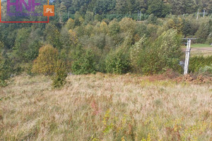 Działka na sprzedaż 6200m2 nowosądecki Kamionka Wielka Królowa Górna - zdjęcie 3