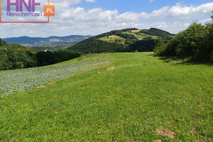 Działka na sprzedaż 3500m2 nowosądecki Łososina Dolna Łyczanka - zdjęcie 3