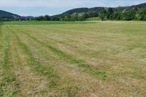 Działka na sprzedaż 7800m2 limanowski Łukowica Stronie - zdjęcie 1