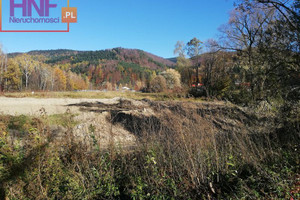 Działka na sprzedaż 6700m2 nowosądecki Stary Sącz Barcice Górne - zdjęcie 1