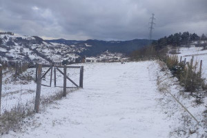 Działka na sprzedaż 1600m2 nowosądecki Piwniczna-Zdrój Łomnica-Zdrój - zdjęcie 2