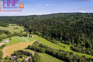 Działka na sprzedaż 4852m2 nowosądecki Gródek nad Dunajcem Roztoka - zdjęcie 3