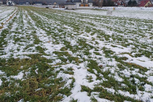 Działka na sprzedaż 1150m2 nowosądecki Stary Sącz Gołkowice Górne - zdjęcie 3