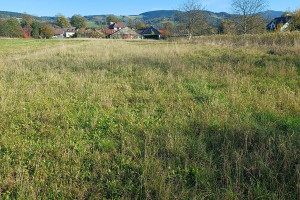 Działka na sprzedaż 2359m2 nowosądecki Stary Sącz - zdjęcie 2