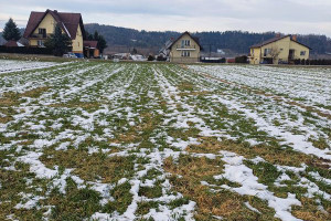 Działka na sprzedaż 1357m2 nowosądecki Stary Sącz Gołkowice Górne - zdjęcie 1