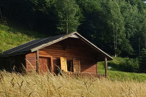 Działka na sprzedaż nowosądecki Piwniczna-Zdrój Zubrzyk - zdjęcie 2