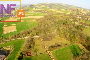 Działka na sprzedaż 2738m2 nowosądecki Chełmiec Wola Kurowska - zdjęcie 3