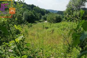 Działka na sprzedaż 4600m2 nowosądecki Gródek nad Dunajcem - zdjęcie 1