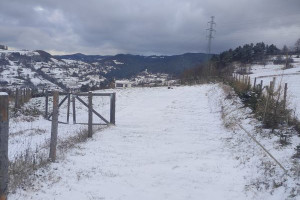 Działka na sprzedaż 1600m2 nowosądecki Piwniczna-Zdrój Łomnica-Zdrój - zdjęcie 3