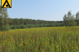 Działka na sprzedaż 1172m2 toruński Lubicz Nowa Wieś - zdjęcie 1