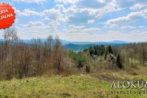 Działka na sprzedaż 2000m2 bocheński Łapanów Wola Wieruszycka - zdjęcie 1