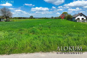 Działka na sprzedaż 11200m2 bocheński Drwinia Ispina - zdjęcie 2