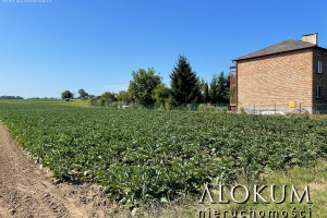 Działka na sprzedaż 5600m2 krakowski Igołomia-Wawrzeńczyce Odwiśle - zdjęcie 3