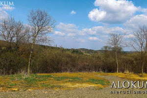 Działka na sprzedaż 2000m2 bocheński Łapanów Wola Wieruszycka - zdjęcie 3