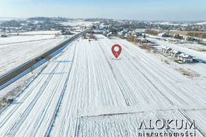 Działka na sprzedaż 12300m2 wielicki Kłaj Targowisko - zdjęcie 2