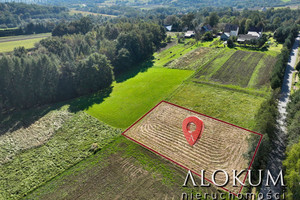 Działka na sprzedaż 1380m2 bocheński Łapanów Ubrzeż - zdjęcie 2