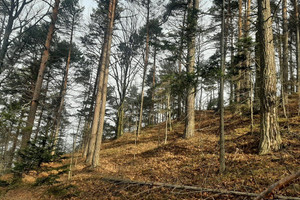 Działka na sprzedaż 4841m2 żywiecki Czernichów Tresna - zdjęcie 1