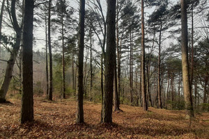 Działka na sprzedaż 4841m2 żywiecki Czernichów Tresna - zdjęcie 3