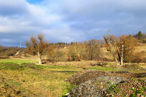 Działka na sprzedaż 3956m2 kłodzki Kudowa-Zdrój Błękitna - zdjęcie 2