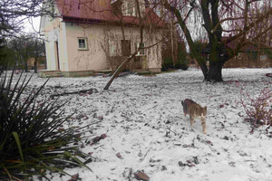 Dom na sprzedaż 35m2 bielski Rudka Karp - zdjęcie 3