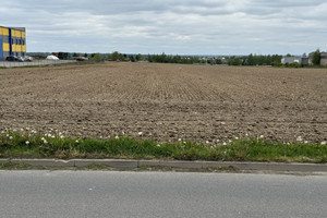 Działka na sprzedaż 53597m2 ostrowski Ostrów Wielkopolski Staroprzygodzka - zdjęcie 3