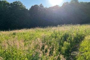 Działka na sprzedaż 1300m2 rzeszowski Chmielnik - zdjęcie 3