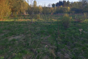 Działka na sprzedaż oleśnicki Oleśnica Ostrowina - zdjęcie 3