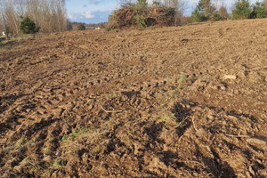 Działka na sprzedaż kartuski Żukowo Małkowo Zielona - zdjęcie 3