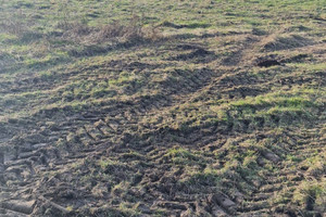 Działka na sprzedaż kartuski Żukowo Małkowo Zielona - zdjęcie 1