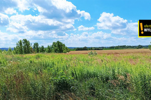 Działka na sprzedaż 1217m2 buski Busko-Zdrój Skorzów - zdjęcie 2