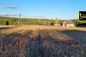 Działka na sprzedaż 1998m2 jędrzejowski Małogoszcz Bocheniec - zdjęcie 2