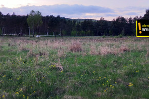 Działka na sprzedaż kielecki Raków Nowa Huta - zdjęcie 4