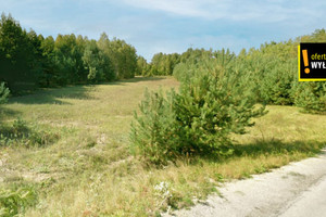 Działka na sprzedaż 4072m2 kielecki Piekoszów Lesica - zdjęcie 4