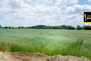 Działka na sprzedaż 1851m2 nowodworski Stegna Bronowo - zdjęcie 2