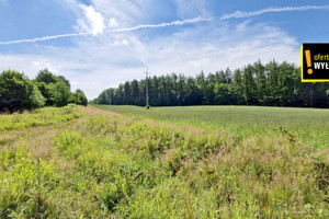 Działka na sprzedaż 66300m2 elbląski Tolkmicko Łęcze - zdjęcie 3