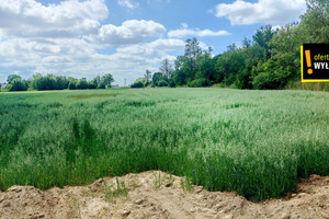 Działka na sprzedaż 1500m2 nowodworski Stegna Bronowo - zdjęcie 3