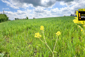 Działka na sprzedaż 3148m2 jędrzejowski Sobków Brzeźno - zdjęcie 2