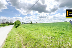 Działka na sprzedaż 3148m2 jędrzejowski Sobków Brzeźno - zdjęcie 4