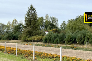 Działka na sprzedaż 24800m2 buski Pacanów Biskupice - zdjęcie 2