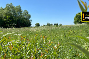 Działka na sprzedaż kielecki Raków Rembów - zdjęcie 3