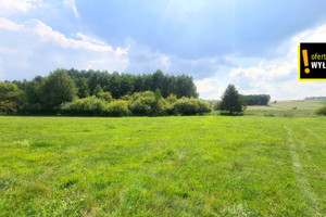 Działka na sprzedaż 21000m2 jędrzejowski Sobków Lipa - zdjęcie 3